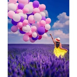 Ballonnen Lavendelveld